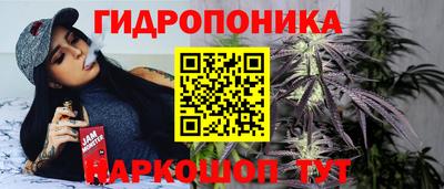 мяу мяу мука Пенза