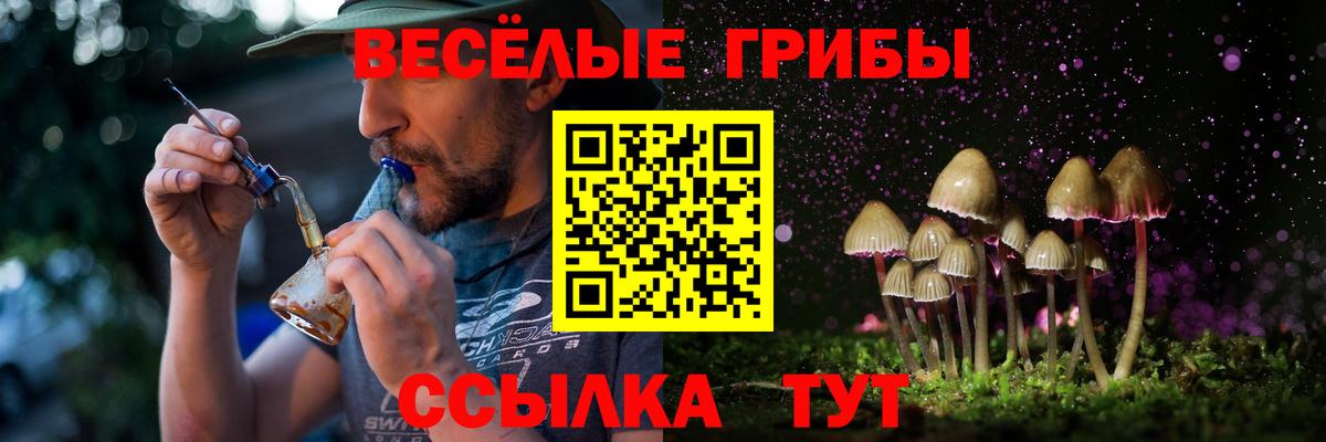 Галлюциногенные грибы Magic Shrooms  Вход с VPN  наркошоп  Усть-Илимск 