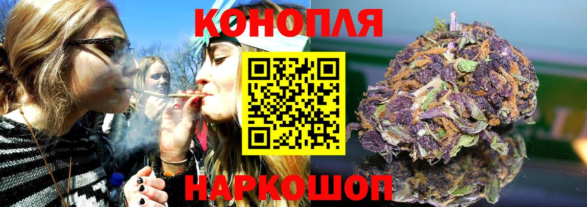 Бошки Шишки планчик Усть-Илимск